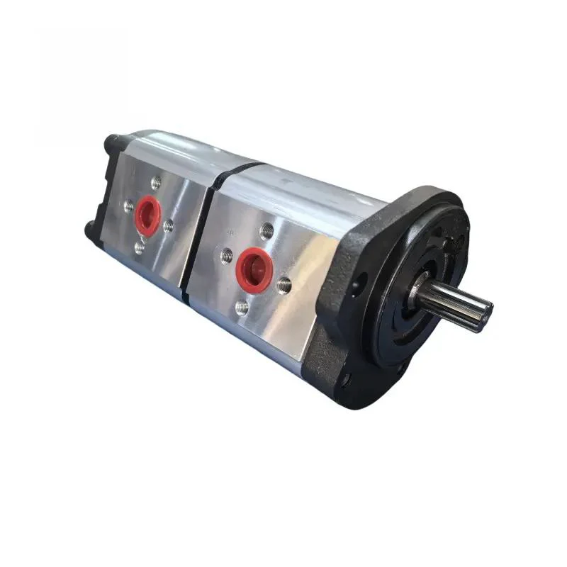 High Pressure Hydraulic Gear Pump HPLPA114 HPLPA131 HPLPA148 HPLPA180 Series HPLPA114DDDG3G3B00