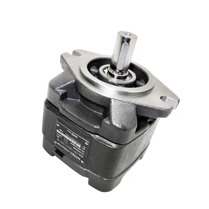 CP1-25-P-10R-36 Hydraulic Injection Moulding Machine Gear Pump CP1-20 CP1-25 CP1-32 CP1-40