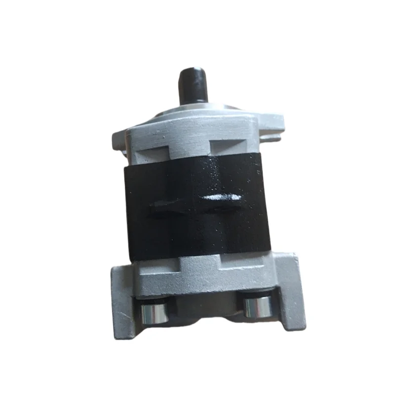 Hydraulic Gear Pump SGP SGP1 Series SGP1-36R114