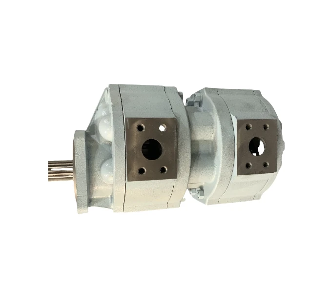 High Pressure Oil Pump CBG2040 CBG2050 CBG2063 CBG2080 CBG2100 CBGJ2040