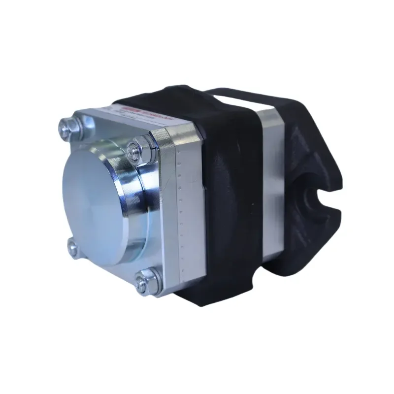 Tejing PGI101 Hydraulic Oil Pump PGI102-006RK00 PGI102-2-004-RK03-11-6100 PGI102-005RK03-11