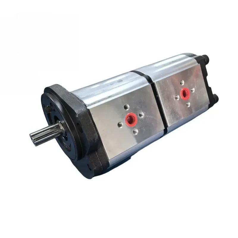 High Pressure Hydraulic Gear Pump HPLPA114 HPLPA131 HPLPA148 HPLPA180 Series HPLPA114DDDG3G3B00