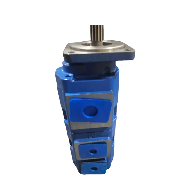 Hydraulic Gear Oil Pump 1115051925-C0U000 1115143C20(P370-1)