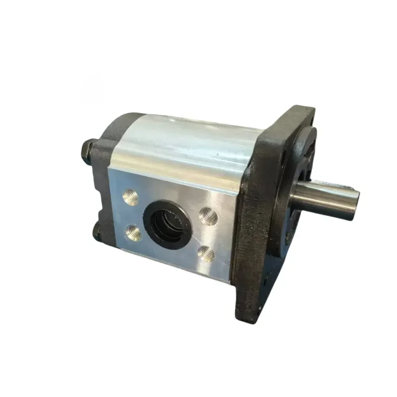 1PF2G3-30/026RD07MBK 1PF2G2-40/011LN20MHL 1PF2G33X023RA07MS 1PF2G2-4X/011RR20MR Hydraulic Gear Pump
