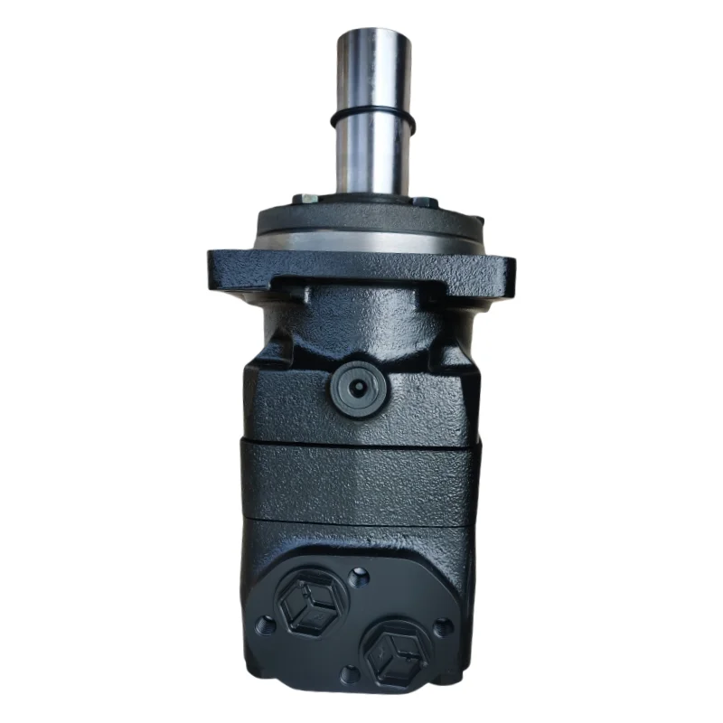 Hydraulic Gear Motor OMT160 OMT200 OMT250 OMT400 OMT500 OMT315 Series OMT315 151B3003