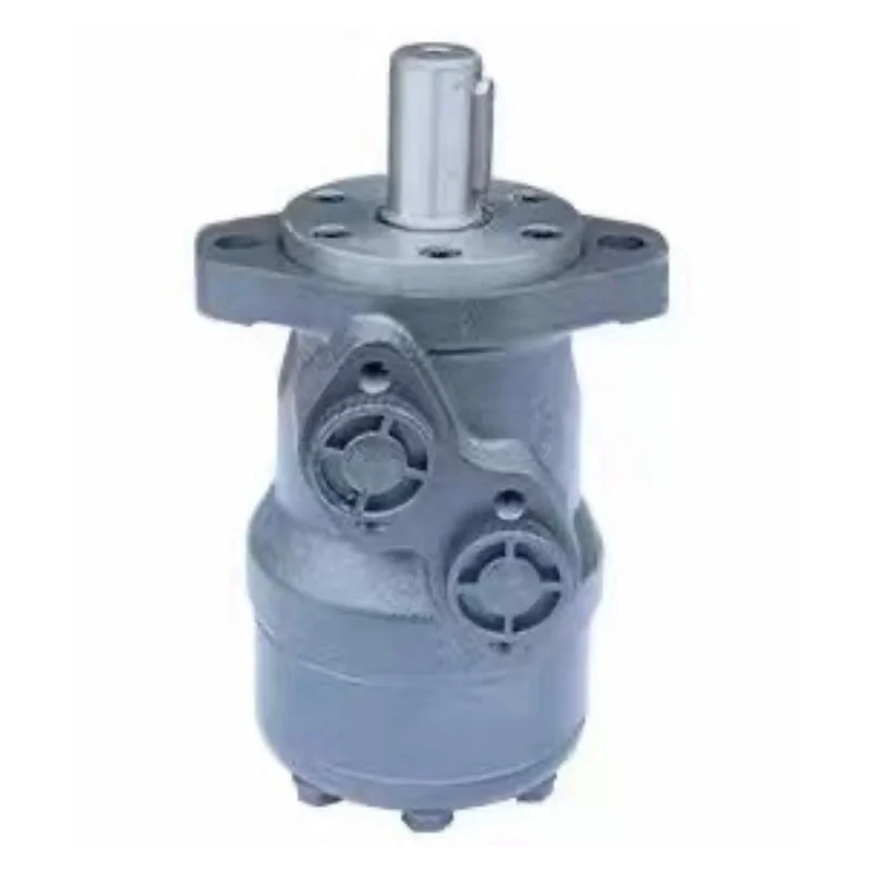 Hydraulic Orbital Oil Motor BMH BMK BMM BMP BMR 50 80 100 125 160 200 250 315 400 500 Series BMR-250 BMR-160 BMH310