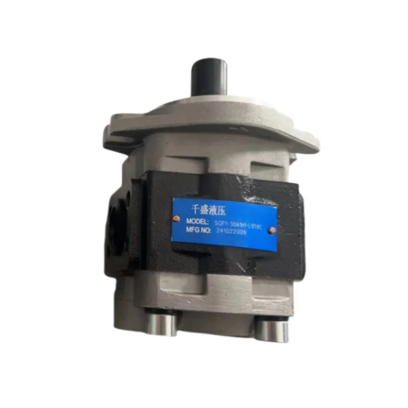 SGP1-23 SGP1-25 SGP1-27 SGP1-30 Series SGP1-32 SGP1-36 Replacement Hydraulic Oil Gear Pump SGP1-30A1H1-L059C
