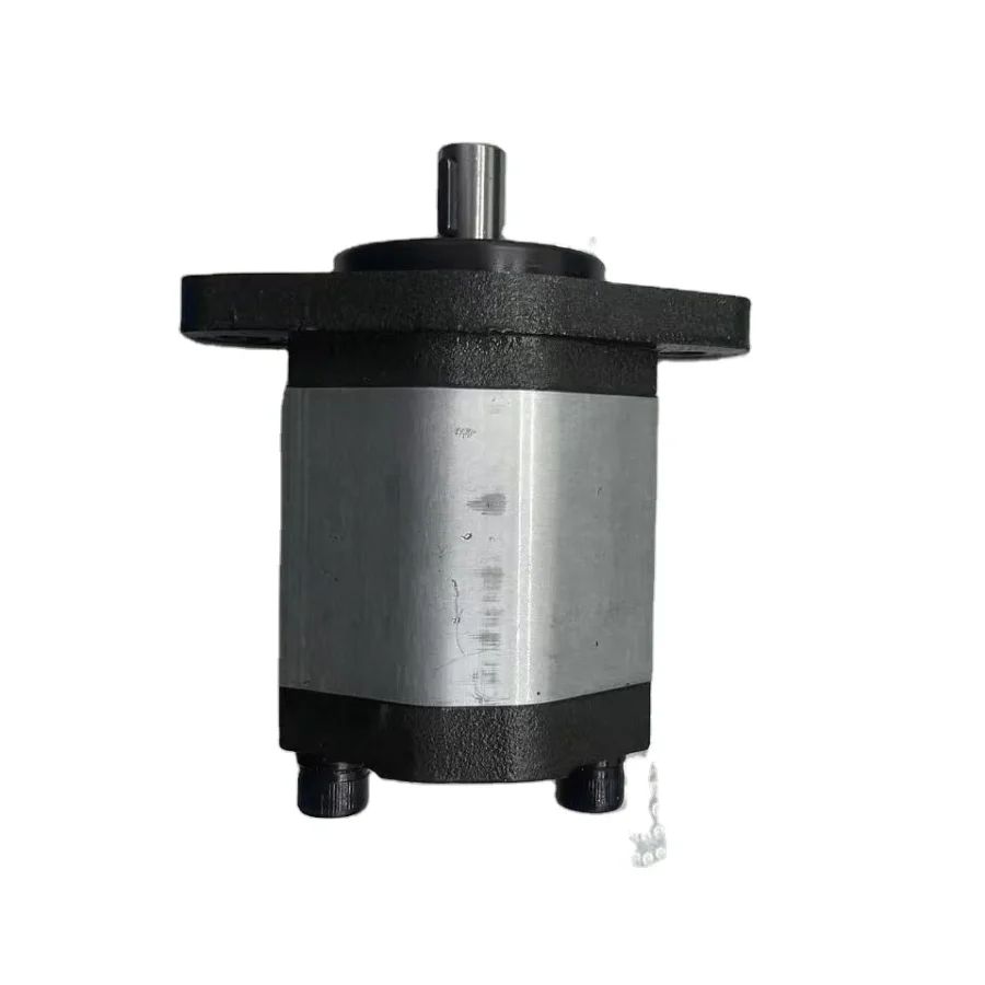 Hydraulic External Gear Pump PGP PGE PLP Series PLP10.3 5D0-30S0-LGC/GC-N-EL