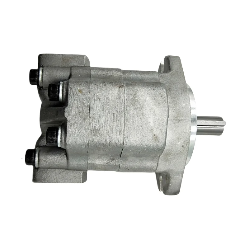 G5 G5-16-1F13S-20R Hydraulic Gear Pump GM5-5 GM5-6 GM5-8 GM5-10 GM5-12 GM5-16 GM5-20 GM5-25 GM5-30