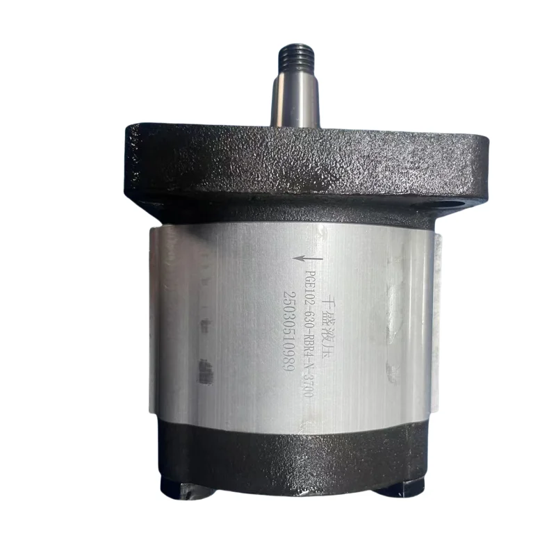 Hydraulic Gear Pump PGE101 PGE102 PGE103 PGE104 Series PGE102-630-RBR4-N-3700