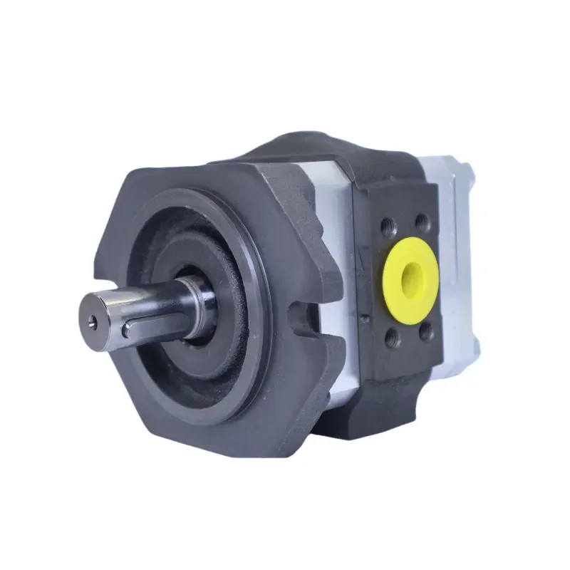 Tejing Pressure Oil Pump PGI Series PGI102-005RK03-11 PGI102 PGI103 PGI102-2-004-RK03-11-6100