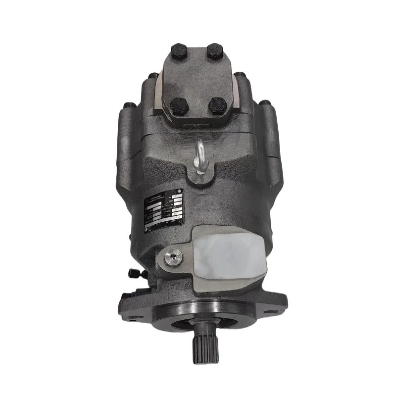 Hydraulic Piston Pump PAMB Series PAMB100-0038A/22 PAMB100-0072C/22